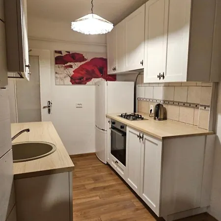 For Rent Near Station Apartment Kaunas